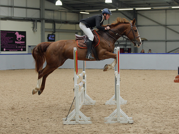 Stuart Muirhead Succeeds in Dodson & Horrell 0.95m National Amateur Second Round at Scottish National Equestrian Centre